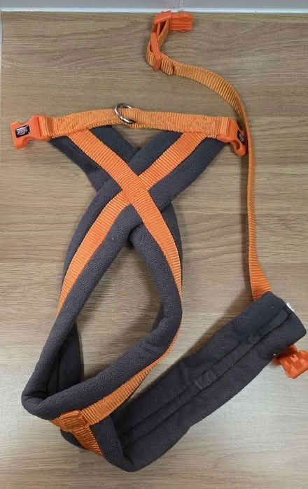 Photo of free Dog Harness (Seaford BN25) #1
