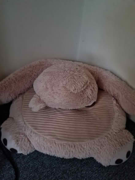 Photo of free Bear chair (NG15) #1