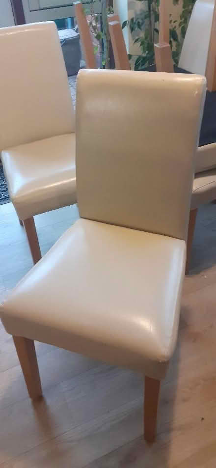Photo of free 6 Dining room chairs (Great Boughton CH3) #2