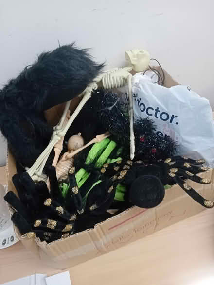 Photo of free Halloween items (Longbridge B31) #1