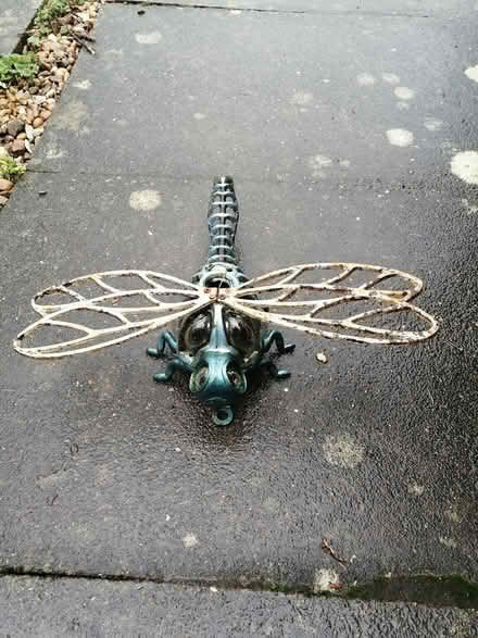 Photo of free Dragon fly (MK14 Great Linford) #2