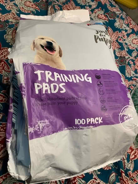 Photo of free 50 or so training pads for puppy (East Finchley N2) #1
