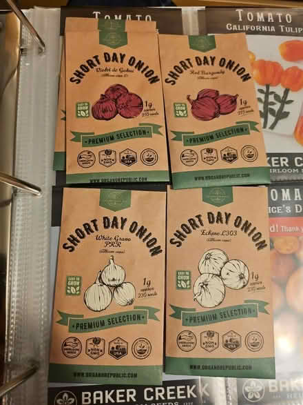 Photo of free Four free packs of onion seeds (Dunning, Chicago) #1