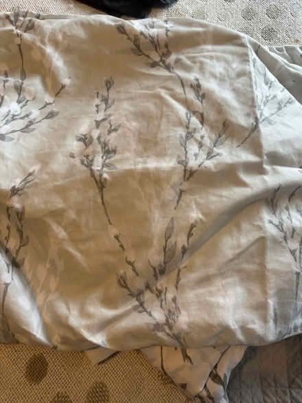 Photo of free Kingsize pussy willow bedding set (Chatham) #1