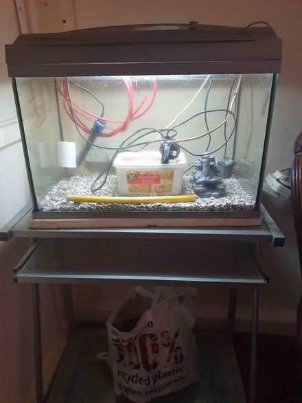Photo of free Fish tank or Vivarium (ME17, maidstone) #2