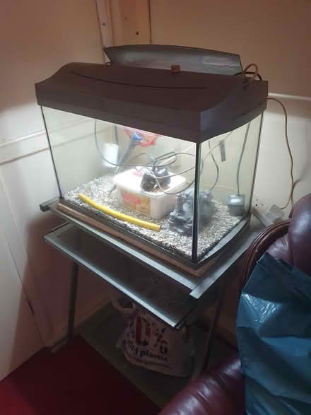 Photo of free Fish tank or Vivarium (ME17, maidstone) #1