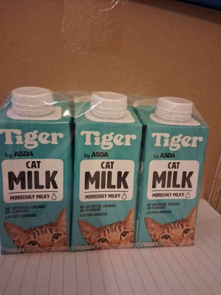 Photo of free Cat Milk (Walderslade ME5) #1