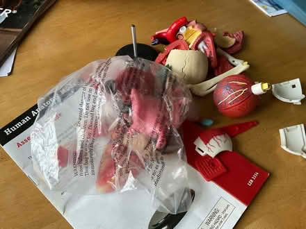 Photo of free Models (Blythe Bridge ST11) #1