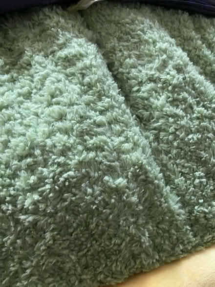 Photo of free Dog bed (Belper DE56) #2