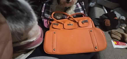 Photo of free Orange pocket book (Upper Darby) #1