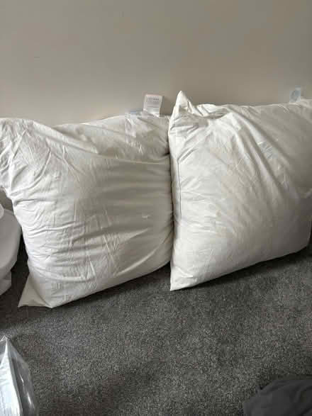 Photo of free Large goose feather cushions (Cowley UB8) #1