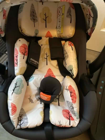 Photo of free Cosatto Car Seat and Base (Bonnyrigg EH19) #2