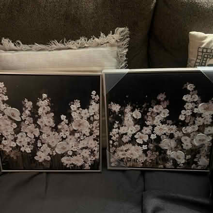 Photo of free 2 paintings (worcester) #1