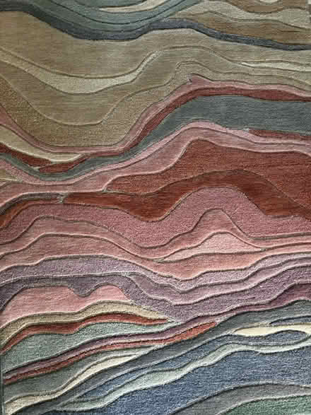 Photo of free Hand tufted wool rug (SE8) #2