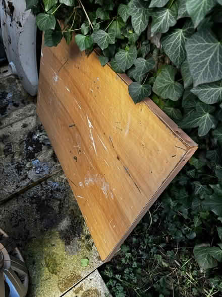 Photo of free Wood for Kindling / DIY Use (TN2 3HT) #4