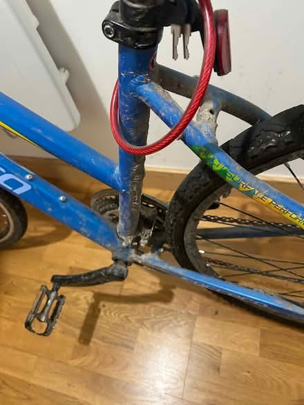 Photo of free Women’s Carrera hybrid bike (SG7) #1