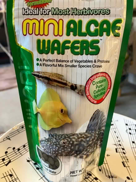 Photo of free Mini algae wafers (Waddon) #2