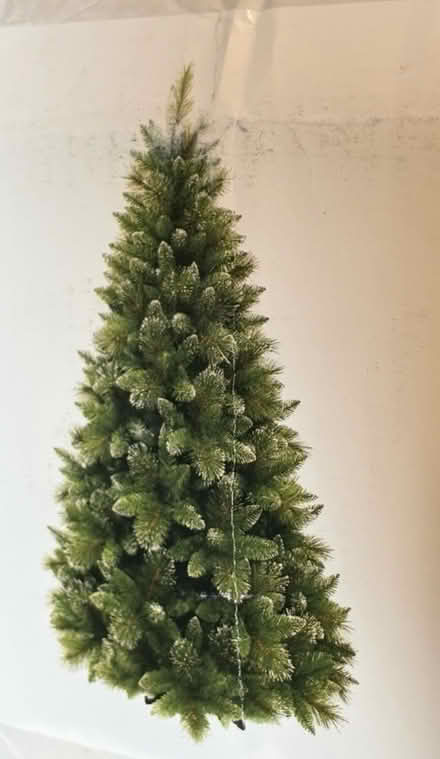 Photo of free Jasamin Christmas Tree 7 Ft (Palmyra WA 6157) #1
