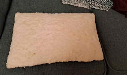 Photo of free Fluffy cushion RG26 (Bramley, Hants RG26) #2