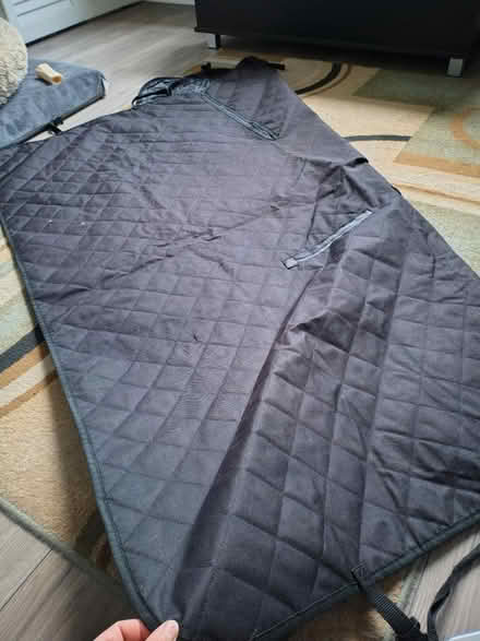 Photo of free Car seat or boot cover for dogs (Adamsdown CF24) #3