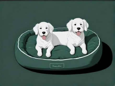 Photo of Large soft dog bed (Bletsoe MK44) #1