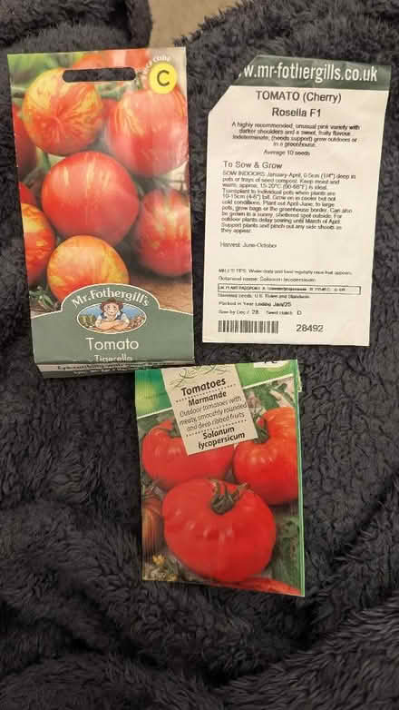 Photo of free Tomato seeds (Malvern Link WR14) #1