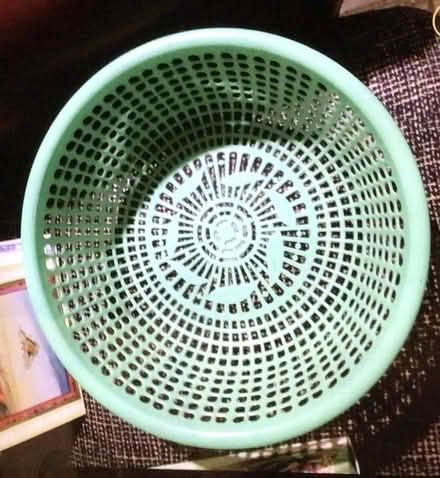 Photo of free Green plastic basket bowl (Storrington RH20) #1