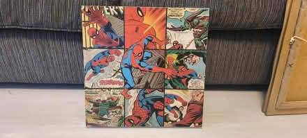 Photo of free Spiderman Wall Hanging Picture (Lawns SN3) #1