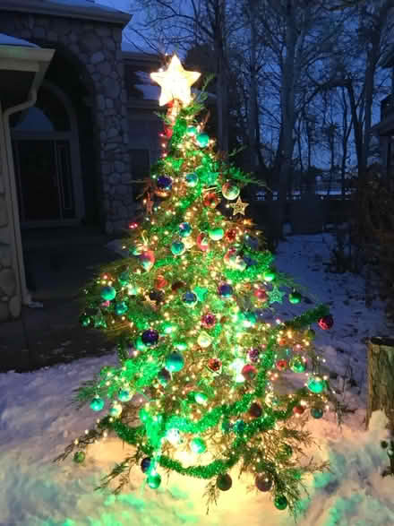 Photo of free Beautiful Ornaments & Decor (Lafayette) #4