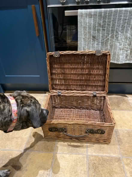 Photo of free Wicker Basket (PO22 Felpham) #4