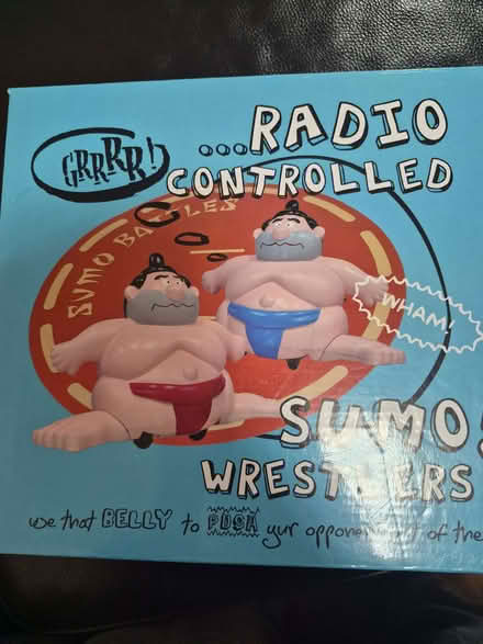 Photo of free Remote control sumo Wrestlers (Burwell OX28) #1
