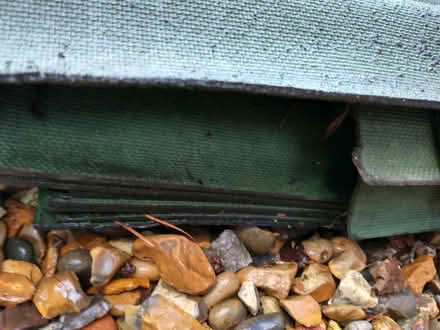 Photo of free Online sheets used (Oaklands, Welwyn AL6) #2