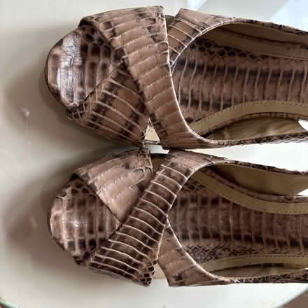 Photo of free Ash shoes size 6 (Limpley stoke BA2) #1