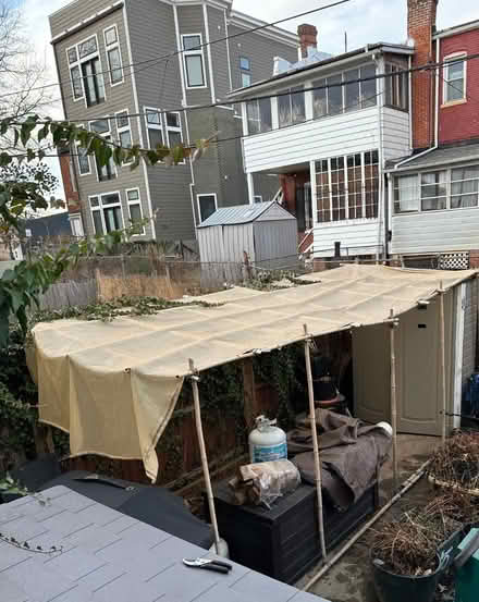 Photo of free Sun shade and bamboo poles (Park View - Colombia Heights) #1
