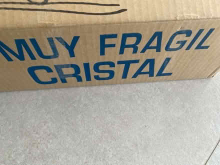 Photo of free Glass Opaque Light Shades (Bredgar ME9) #3