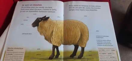 Photo of free French - colours and Farm animals (Aldingbourne PO20) #3