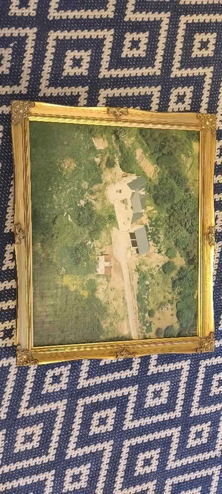 Photo of free Ornate Picture Frame (Lawns SN3) #1