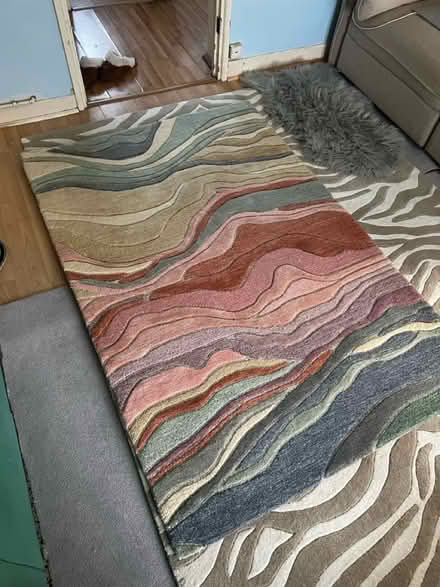 Photo of free Hand tufted wool rug (SE8) #1