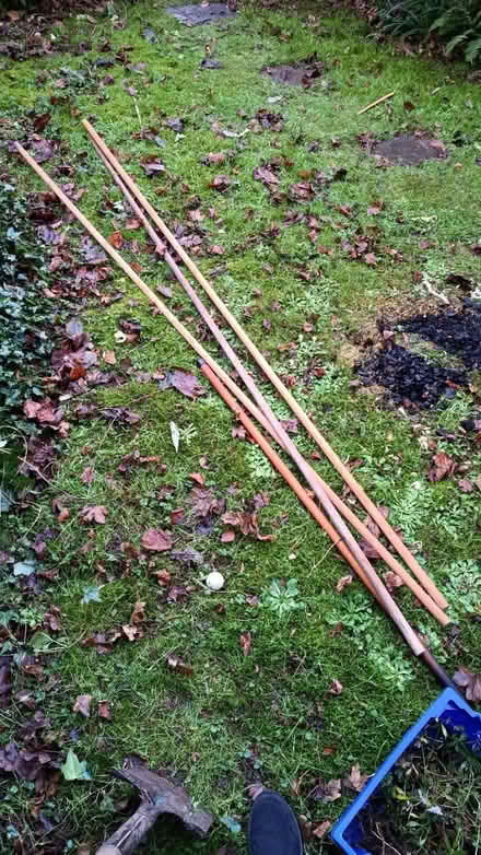 Photo of free 3 x 2.5 metres x 20mm Dowels (Stanford le hope, SS17) #1