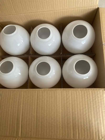Photo of free Glass Opaque Light Shades (Bredgar ME9) #2