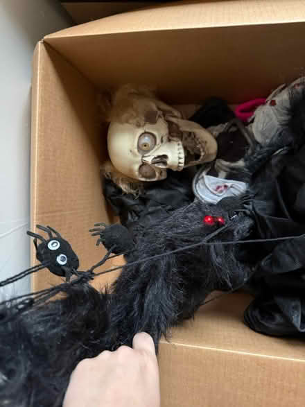 Photo of free Halloween decorations (Wa27qb) #2