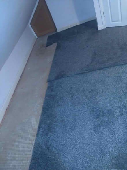 Photo of free Dark Grey carpet (Coventry CV6) #3