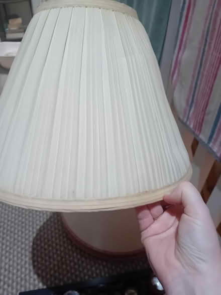 Photo of free Vintage Light Shades bundle (Stillorgan) #4