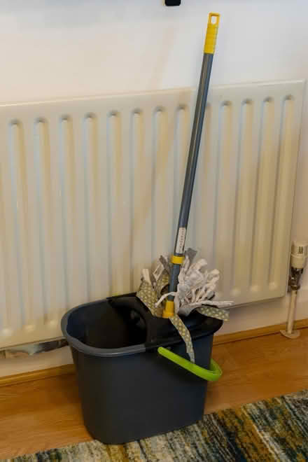 Photo of free Mop and bucket to gift (Tollerton NG12) #2