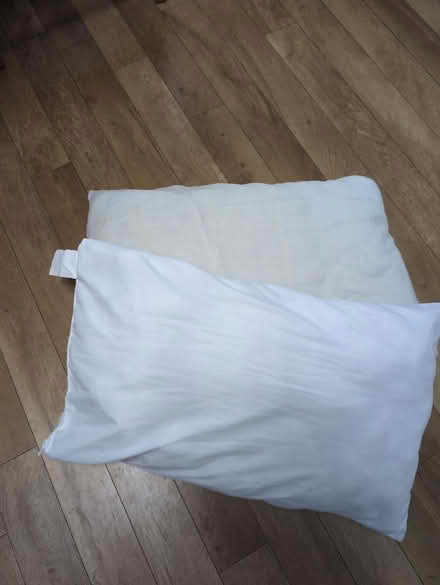 Photo of free Old pillows suitable for pets (Old Coulsdon CR5) #1