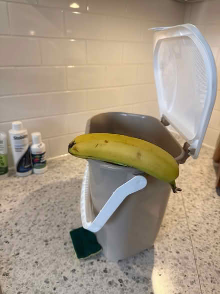 Photo of free Small Compost bin for kitchen (Uplands / Paul Anka) #3