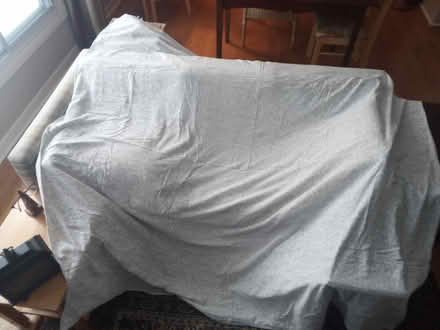 Photo of free IKEA queen duvet cover (Britannia) #2