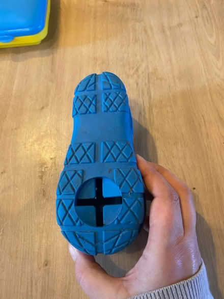 Photo of free Stuff for a dog - Various (Bracknell RG12) #1