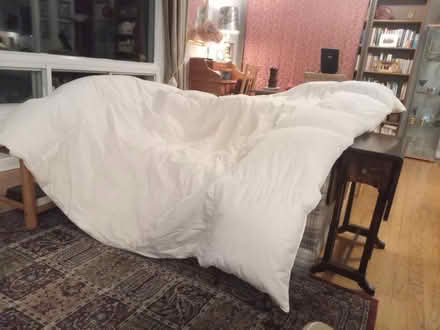 Photo of free queen duvet (from IKEA) (Britannia) #2