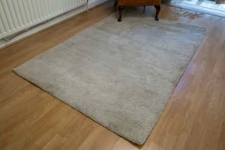 Photo of free Rug to give away (Tollerton NG12) #3